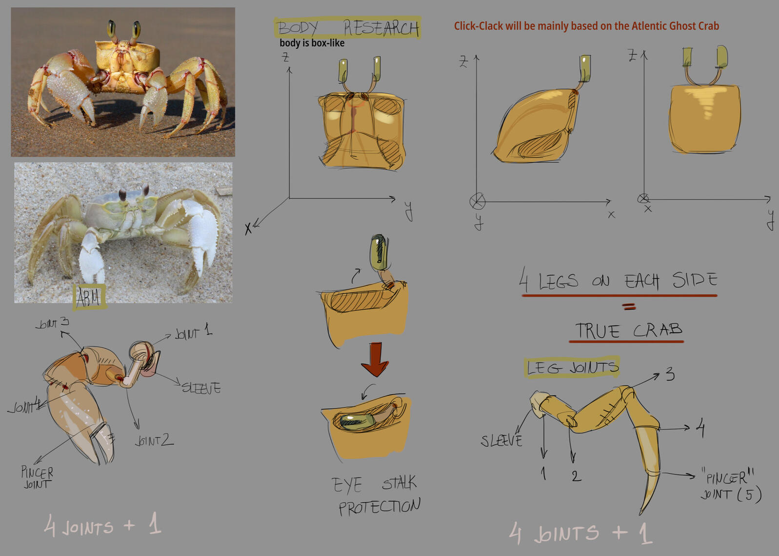 crab study crab study